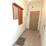 Spacious Flat In Wider Centre Of With Balcony And Free On-street Parking *