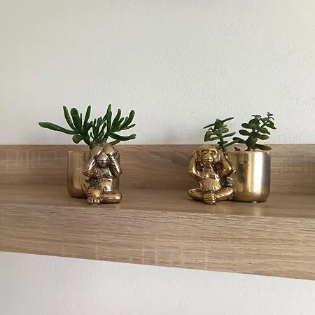 Spacious Flat In Wider Centre Of With Balcony And Free On-street Parking