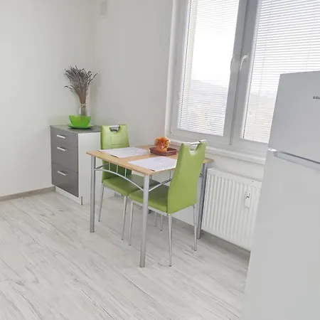 Spacious Flat In Wider Centre Of With Balcony And Free On-street Parking Apartment Nitra